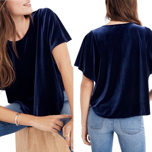 Madewell Tops - Madewell Blue Velvet Butterfly Dolan Sleeve Top M